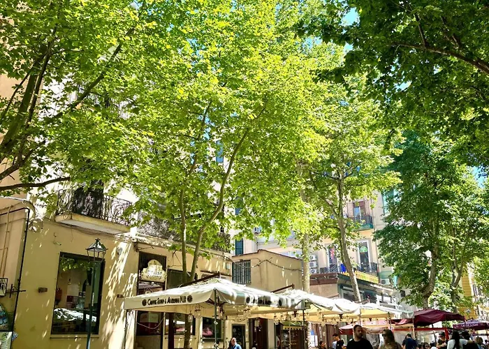 Step126 بيت ضيافة 3*